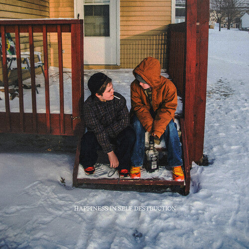 Happiness In Self Destruction 2LP by The Plot In You album artwork