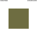 Autechre Guitar LP by Shane Parish album artwork