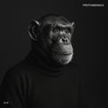 Protomensch LP by Felsmann + Tiley album artwork