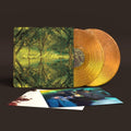 Everything All the Time 2LP by Band Of Horses album artwork