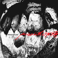 Peace in Place CD by Poison the Well album artwork