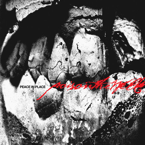 Peace in Place CD by Poison the Well album artwork