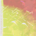 Live at Revolution Hall 3LP by Adrianne Lenker album artwork