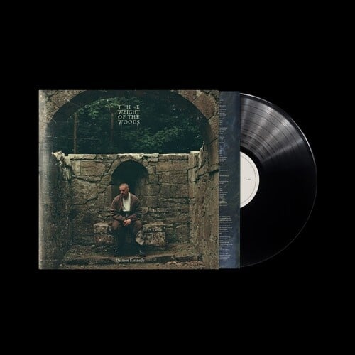 The Weight of the Woods LP by Dermot Kennedy album artwork