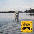 Daisy LP by Jaguar Sun album artwork