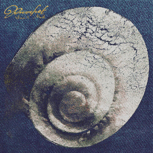 Ricochet LP by Snail Mail album artwork
