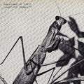 Creature of Habit CD by Courtney Barnett album artwork