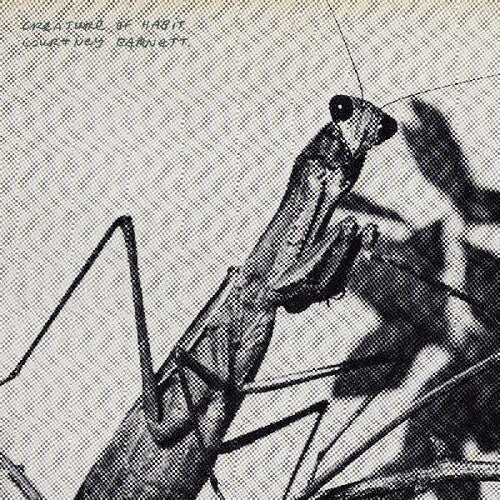 Creature of Habit CD by Courtney Barnett album artwork
