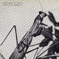 Creature of Habit LP by Courtney Barnett album artwork