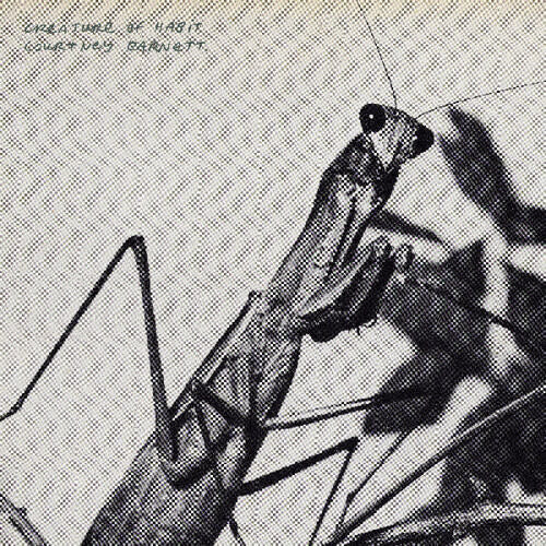 Creature of Habit LP by Courtney Barnett album artwork