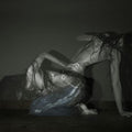 Something Is a Shell . LP by Sofia Isella album artwork