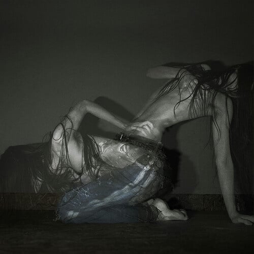 Something Is a Shell . LP by Sofia Isella album artwork