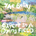 Expert in a Dying Field LP by The Beths album artwork