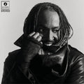 Distracted LP by Thundercat album artwork