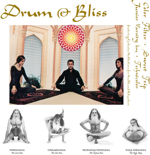Drum & Bliss 12" by Various album artwork