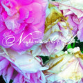Self-Titled by Nightmare Of You album artwork