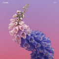 Skin LP by Flume album artwork