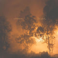 Blindfaller LP by Watchhouse album artwork