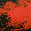 In Studio Magic LP by Anthony Naples album artwork