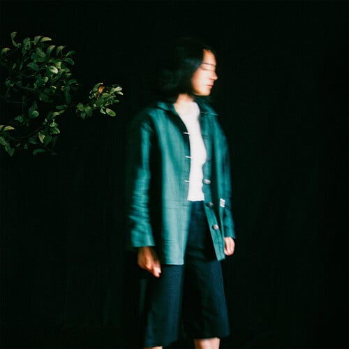 Slow It Down LP by Mini Trees album artwork