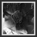 Mind Abandon LP by Ital Tek album artwork