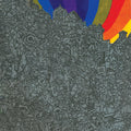 Wonderful Rainbow LP by Lightning Bolt album artwork