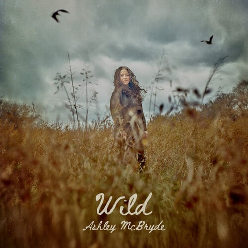Wild LP by Ashley McBryde album artwork