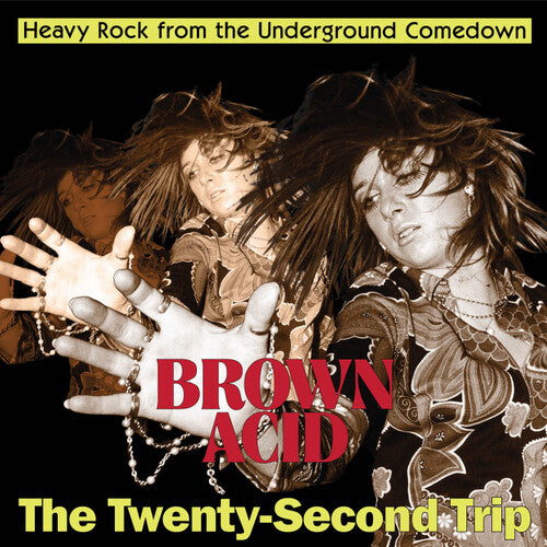 Brown Acid: The Twenty-Second Trip LP by Various album artwork