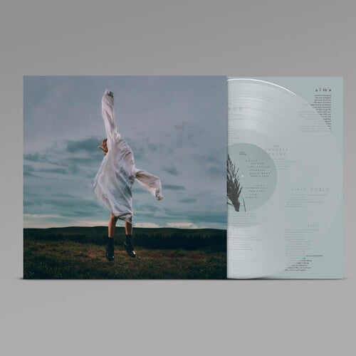 Birding LP by Deary album artwork