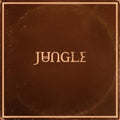 Sunshine LP by Jungle album artwork