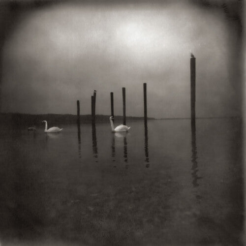 Conference of the Birds CASSETTE by Om album artwork