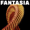Fantasia 2LP by Slift album artwork
