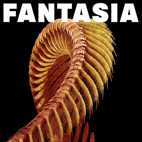 Fantasia 2LP by Slift album artwork