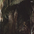 Urwald 12" by Acid Pauli album artwork
