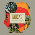 Musas Vol.2 LP by Natalia Lafourcade album artwork