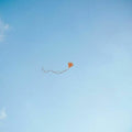 Lost, Found & Forgotten 3LP by Chris Stussy album artwork