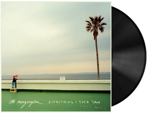 Everything I Ever Saw LP by Menzingers album artwork