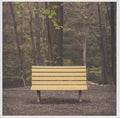 The Hands That Thieve LP by Streetlight Manifesto album artwork