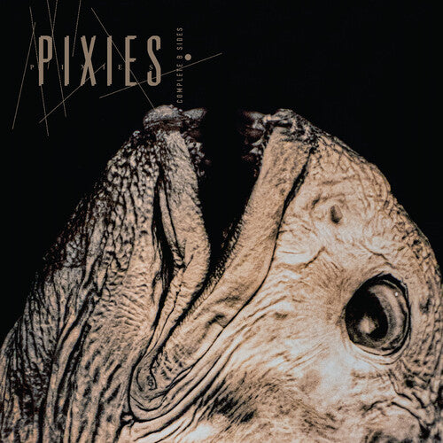 Complete B Sides: 1988-97 2LP by Pixies album artwork