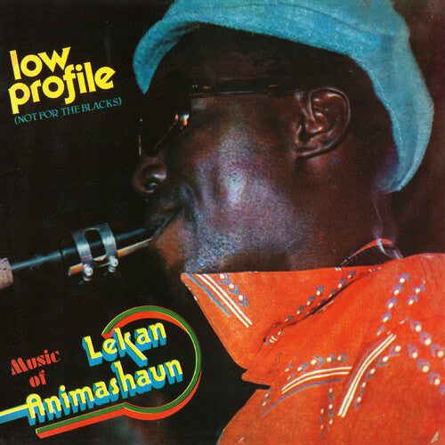 Low Profile (Not For The Blacks) LP by Lekan Animashaun album artwork