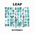 Entropy LP by Leap album artwork