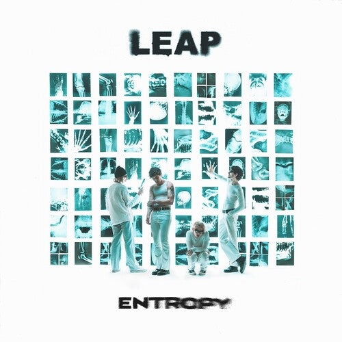 Entropy LP by Leap album artwork