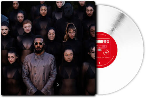 Experimental Rap 2LP by Jpegmafia album artwork