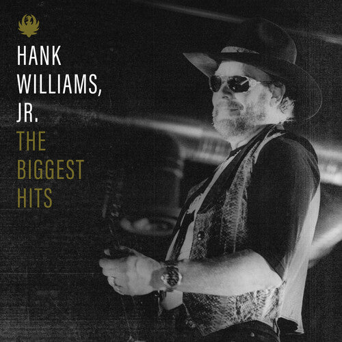 Biggest Hits Of LP by Hank Jr. Williams album artwork