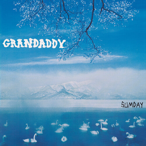 Sumday CD by Grandaddy album artwork