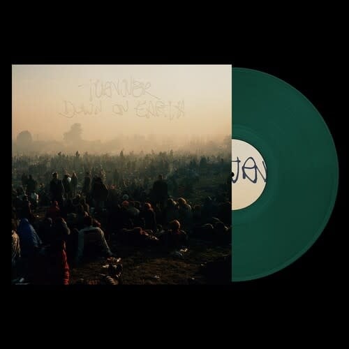 Down on Earth LP by Turnover album artwork