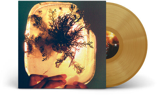 Fata Morgana LP by L'Rain album artwork