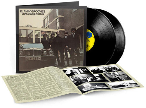Shake Some Action 2LP by Flamin' Groovies album artwork