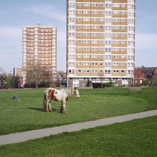It Goes On LP by Westside Cowboy album artwork