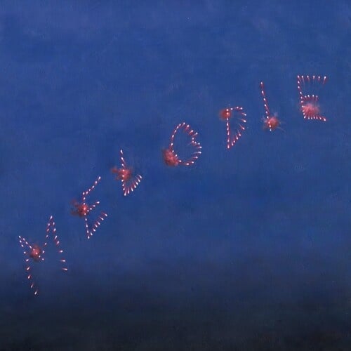 Melodie LP by Slow Pulp album artwork